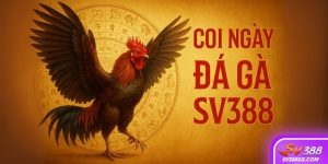 Coi ngày đá gà tại SV388
