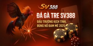 Đá Gà Tre SV388 – Đấu Trường Kịch Tính, Bùng Nổ Đam Mê 2025