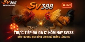 Trực Tiếp Đá Gà C1 Hôm Nay SV388 – Đấu Trường Kịch Tính, Bùng Nổ Thắng Lớn 2025