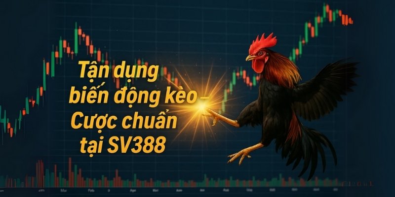 Tỷ lệ kèo biến động là cơ hội vàng để áp dụng mẹo bắt kèo đá gà hiệu quả tại SV388.